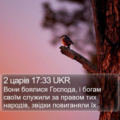 2 царів 17:33 UKR Bible Verse Image