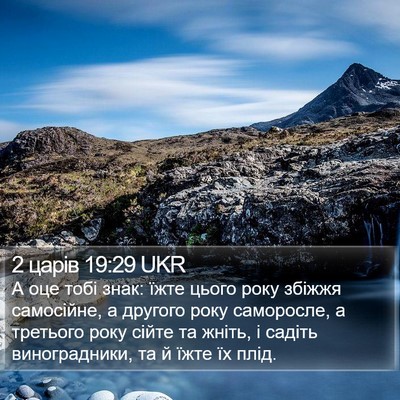 2 царів 19:29 UKR Bible Verse Image
