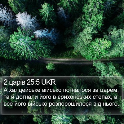 2 царів 25:5 UKR Bible Verse Image