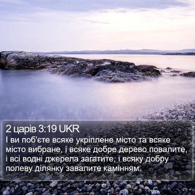 2 царів 3:19 UKR Bible Verse Image