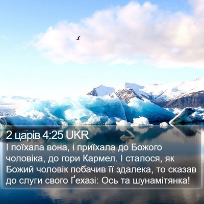 2 царів 4:25 UKR Bible Verse Image