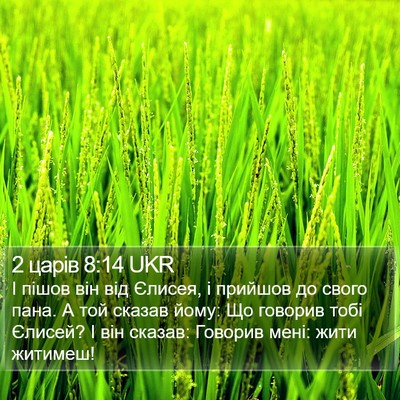 2 царів 8:14 UKR Bible Verse Image