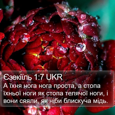 Єзекіїль 1:7 UKR Bible Verse Image
