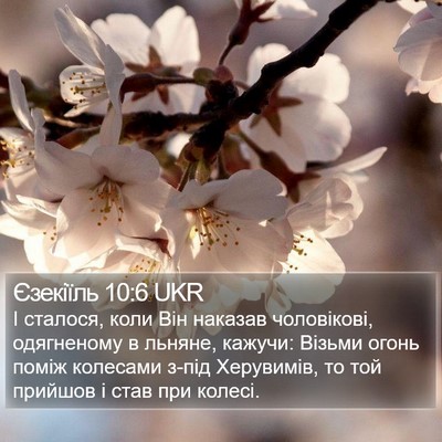 Єзекіїль 10:6 UKR Bible Verse Image