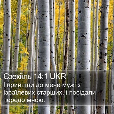 Єзекіїль 14:1 UKR Bible Verse Image