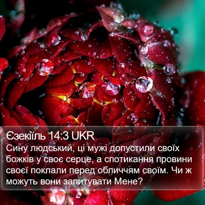 Єзекіїль 14:3 UKR Bible Verse Image