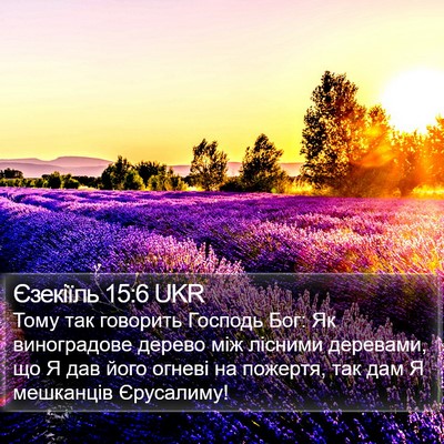 Єзекіїль 15:6 UKR Bible Verse Image
