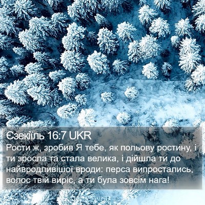 Єзекіїль 16:7 UKR Bible Verse Image