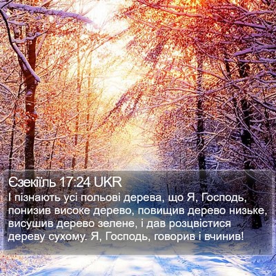 Єзекіїль 17:24 UKR Bible Verse Image