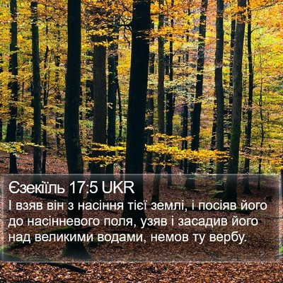 Єзекіїль 17:5 UKR Bible Verse Image