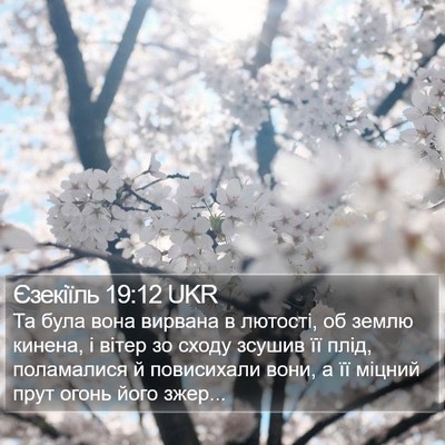 Єзекіїль 19:12 UKR Bible Verse Image