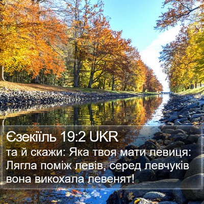Єзекіїль 19:2 UKR Bible Verse Image