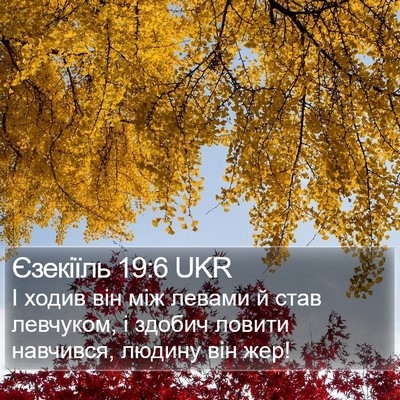 Єзекіїль 19:6 UKR Bible Verse Image