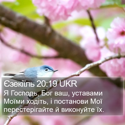 Єзекіїль 20:19 UKR Bible Verse Image