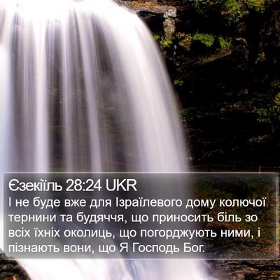 Єзекіїль 28:24 UKR Bible Verse Image