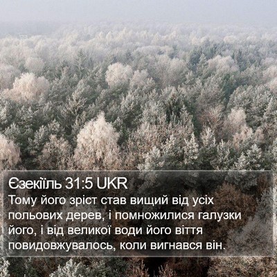 Єзекіїль 31:5 UKR Bible Verse Image