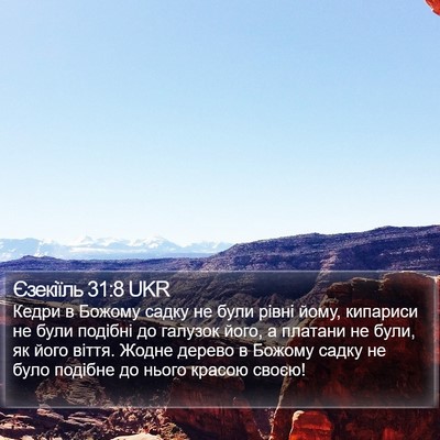Єзекіїль 31:8 UKR Bible Verse Image