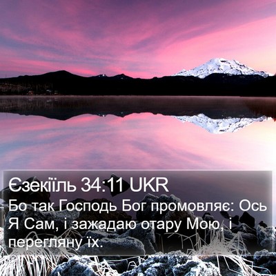 Єзекіїль 34:11 UKR Bible Verse Image