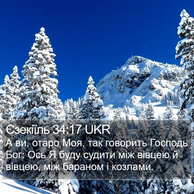 Єзекіїль 34:17 UKR Bible Verse Image