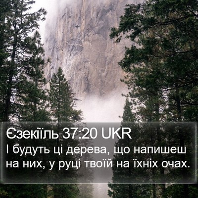 Єзекіїль 37:20 UKR Bible Verse Image
