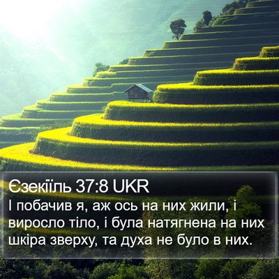 Єзекіїль 37:8 UKR Bible Verse Image