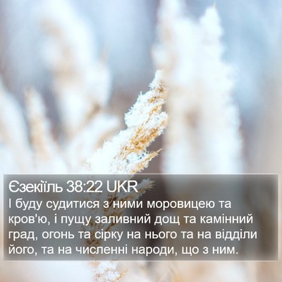 Єзекіїль 38:22 UKR Bible Verse Image