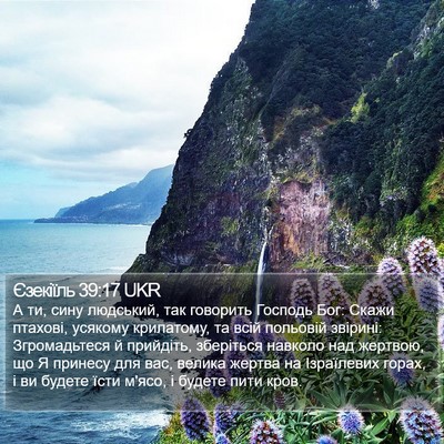Єзекіїль 39:17 UKR Bible Verse Image
