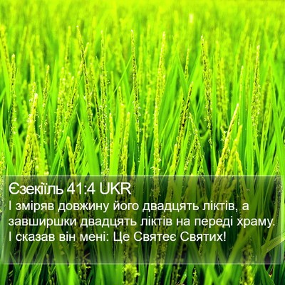 Єзекіїль 41:4 UKR Bible Verse Image