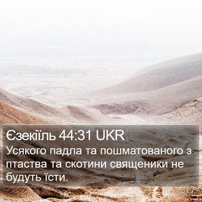 Єзекіїль 44:31 UKR Bible Verse Image