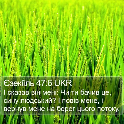 Єзекіїль 47:6 UKR Bible Verse Image