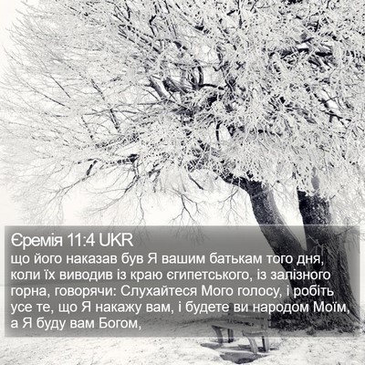 Єремія 11:4 UKR Bible Verse Image