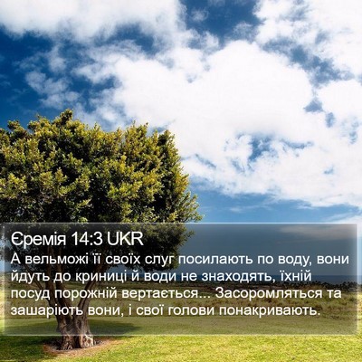 Єремія 14:3 UKR Bible Verse Image