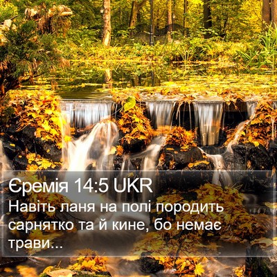 Єремія 14:5 UKR Bible Verse Image