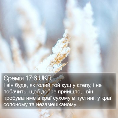 Єремія 17:6 UKR Bible Verse Image