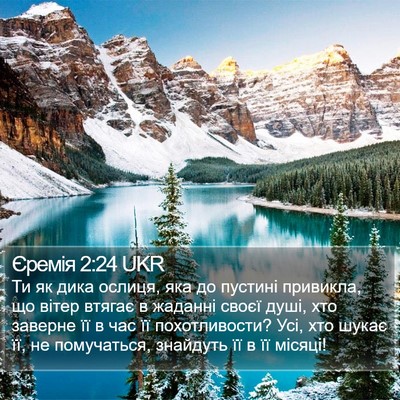 Єремія 2:24 UKR Bible Verse Image