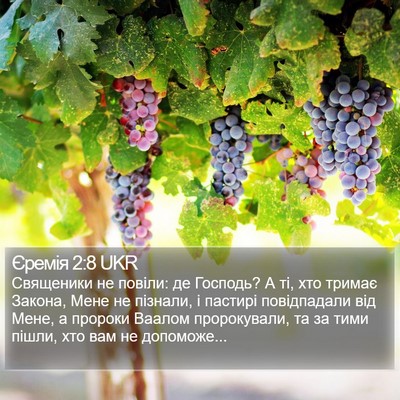 Єремія 2:8 UKR Bible Verse Image