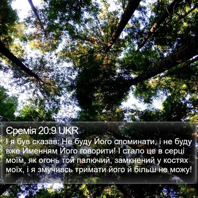 Єремія 20:9 UKR Bible Verse Image