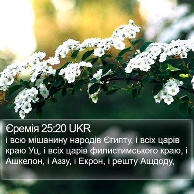 Єремія 25:20 UKR Bible Verse Image