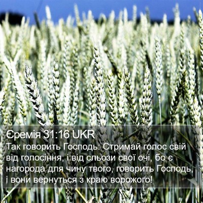 Єремія 31:16 UKR Bible Verse Image