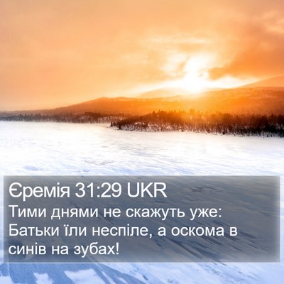Єремія 31:29 UKR Bible Verse Image