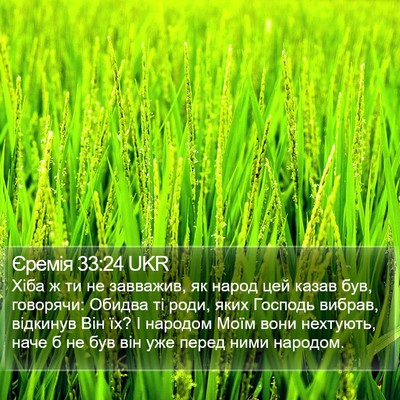 Єремія 33:24 UKR Bible Verse Image