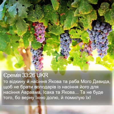 Єремія 33:26 UKR Bible Verse Image