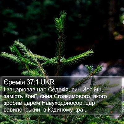 Єремія 37:1 UKR Bible Verse Image