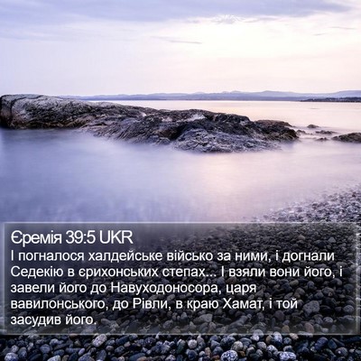 Єремія 39:5 UKR Bible Verse Image