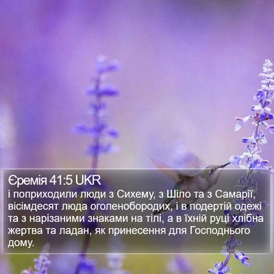 Єремія 41:5 UKR Bible Verse Image