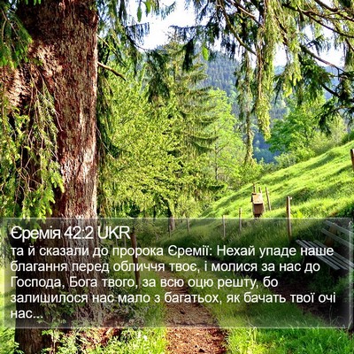 Єремія 42:2 UKR Bible Verse Image