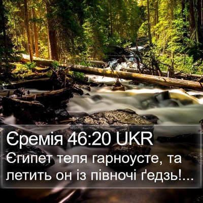 Єремія 46:20 UKR Bible Verse Image