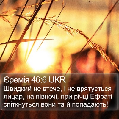 Єремія 46:6 UKR Bible Verse Image