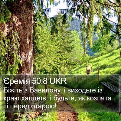 Єремія 50:8 UKR Bible Verse Image