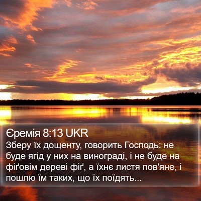 Єремія 8:13 UKR Bible Verse Image